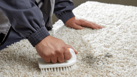 Professional Rug Cleaning Glen Park